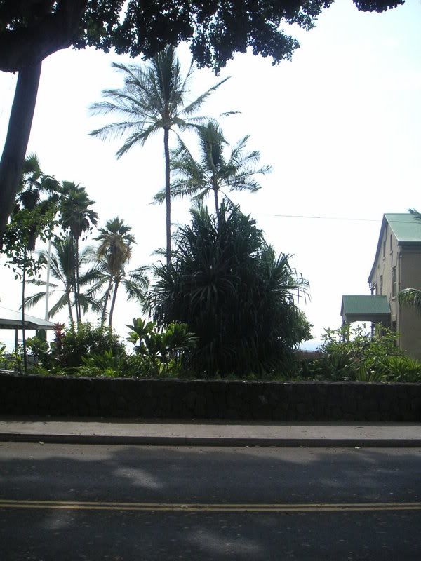 HawaiiII-091.jpg