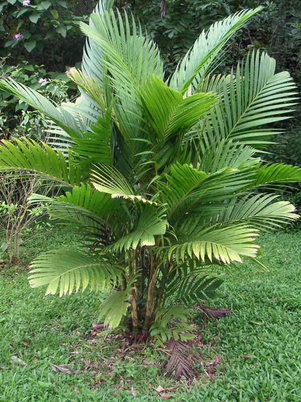Hawaii-356.jpg