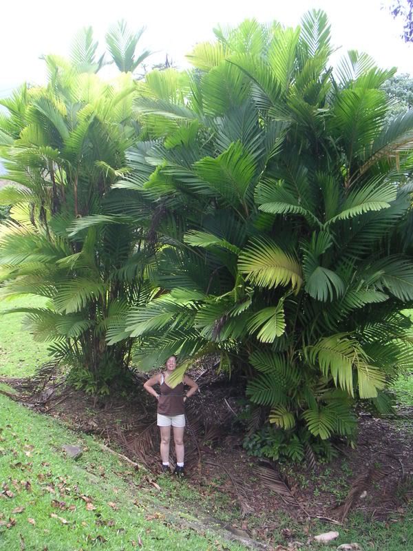 Hawaii-358.jpg