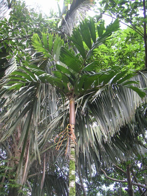 Hawaii-370.jpg
