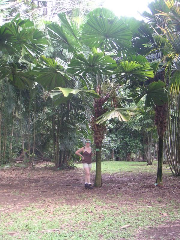 Hawaii-399.jpg