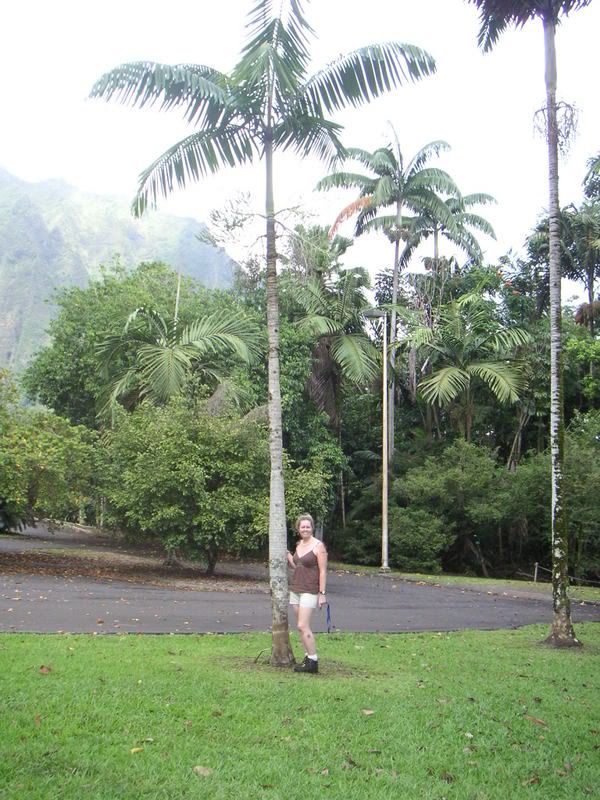 Hawaii-413.jpg