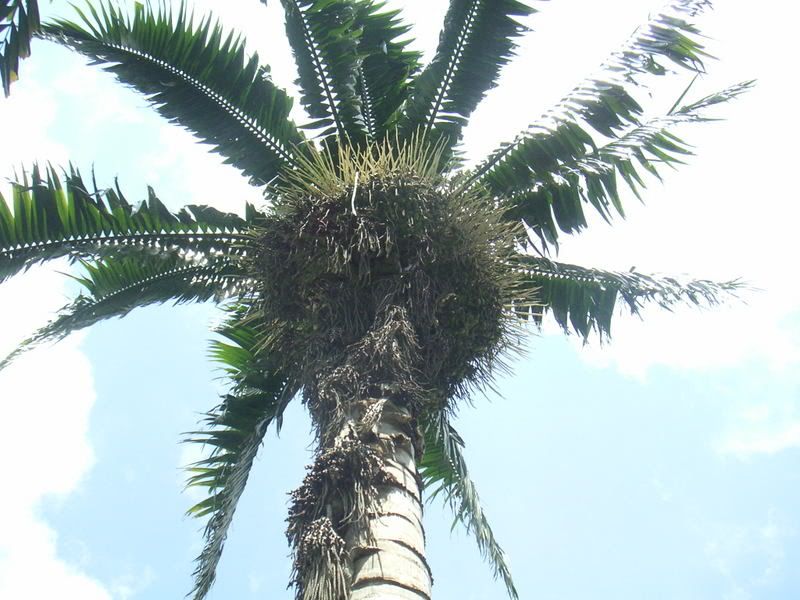 Hawaii-416.jpg