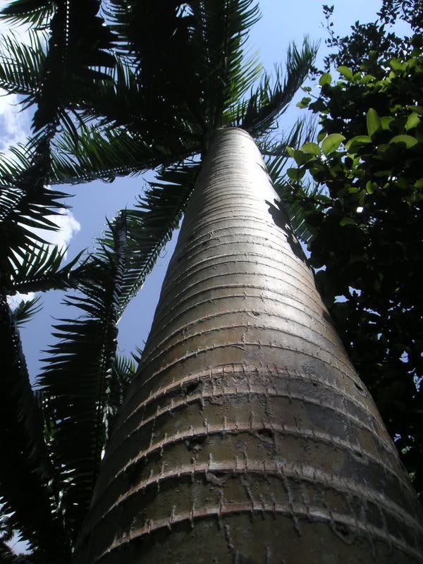 Hawaii-422.jpg