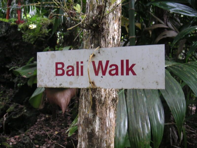 Hawaii-039.jpg
