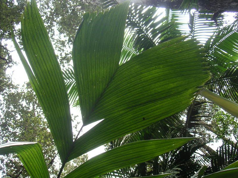 Hawaii-040.jpg