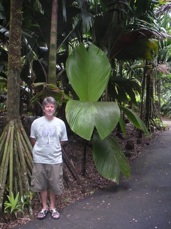 Hawaii-053.jpg