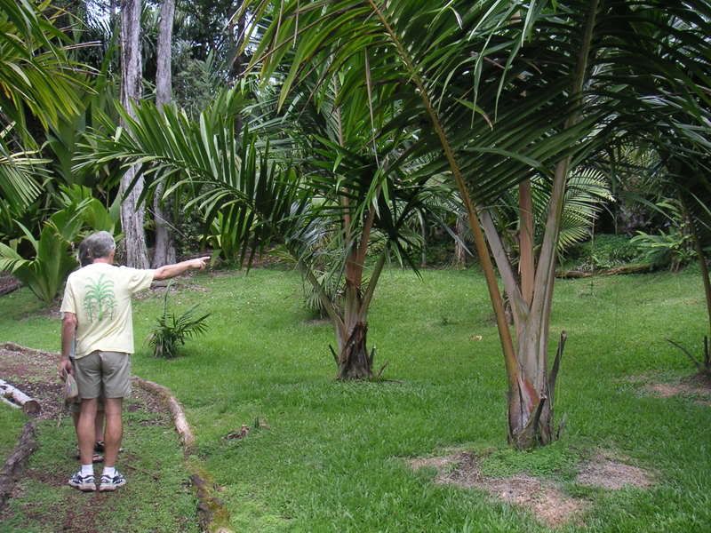 Hawaii-092.jpg