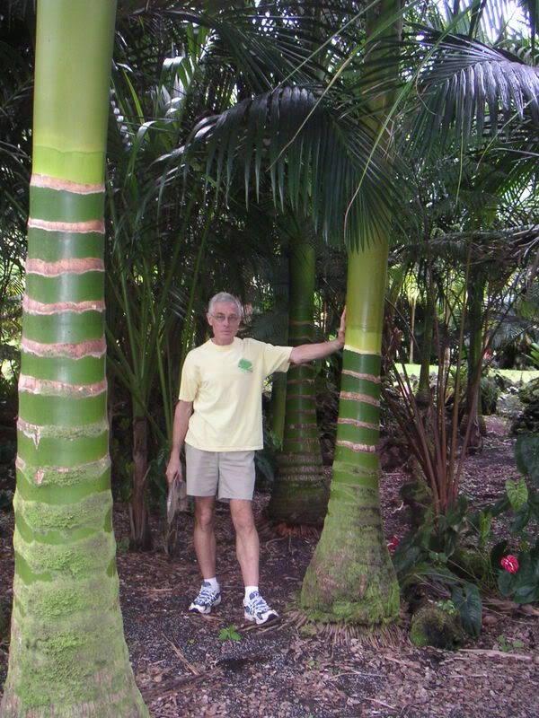 Hawaii-112.jpg