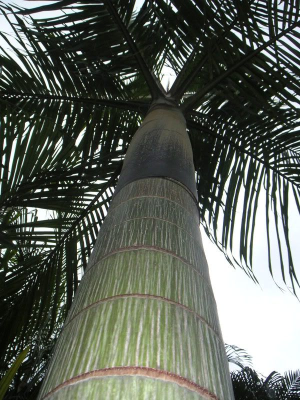 Hawaii-118.jpg