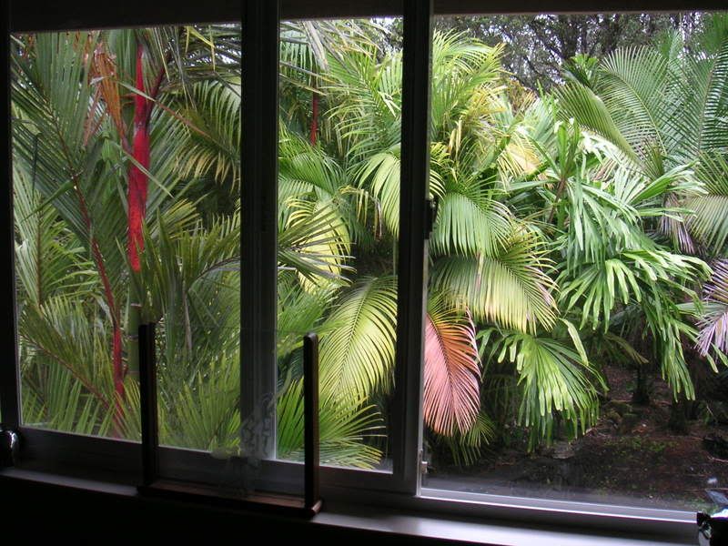 Hawaii-124.jpg