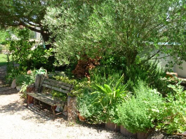 Part of my Mediterranean Herb Garden Part of my Mediterranean Herb Garden