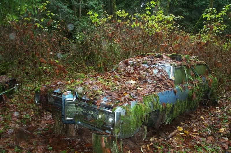 Hidden Treasures Discover The Rarest Subaru Models Youve Never Heard Of - 1j8dd8f