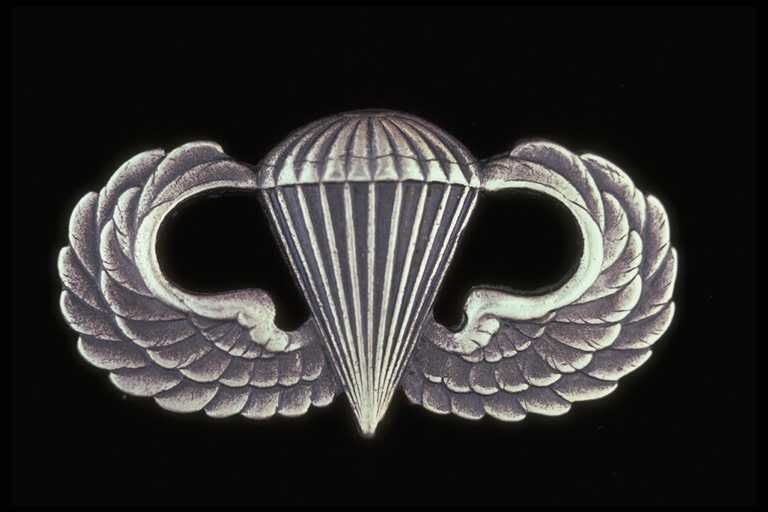 Airborne Badge