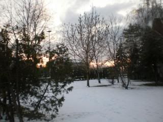 snijeg3 photo 201401251.jpg