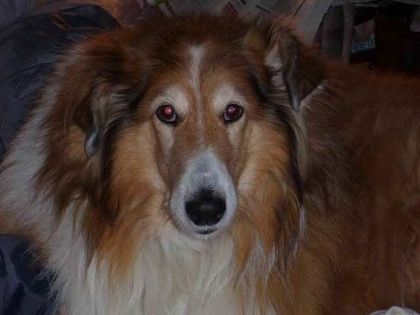 photo 87c2fdee-8ec7-4f92-85f5-735cab4e8276.jpg