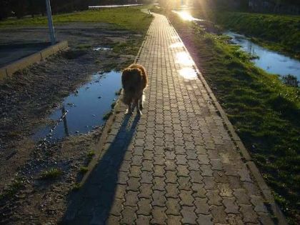  photo cd9f4db2-2bab-41fb-8865-1bfea2777b4d.jpg