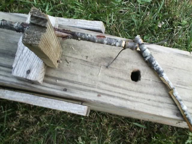 rabbittrap002.jpg