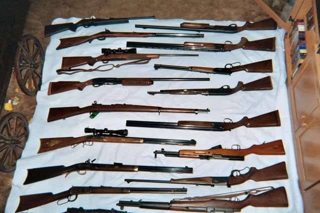 longguns.jpg