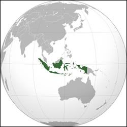 situ2.jpg