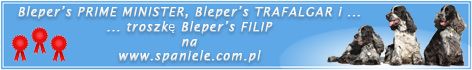 Bleper's PRIME MINISTER & Bleper's TRAFALGAR