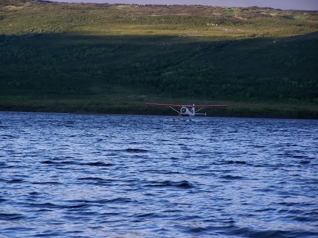 100_2132.jpg