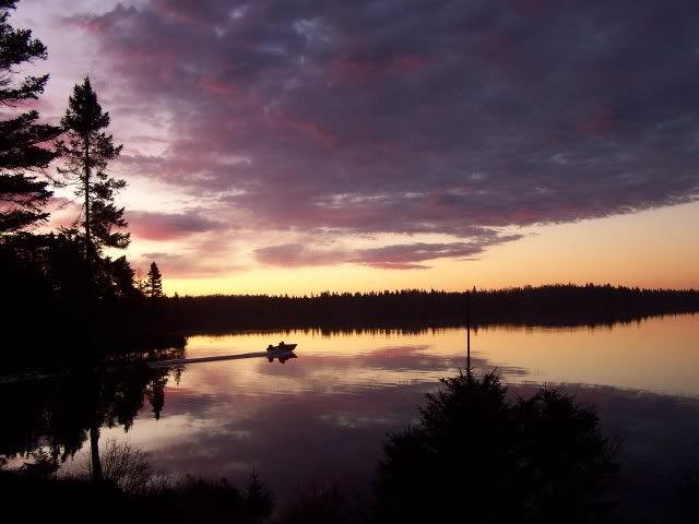 100_2545.jpg