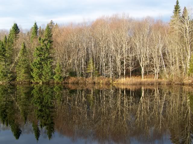 100_2551.jpg