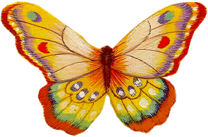 mariposa.gif picture by maitere