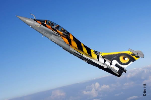http://i146.photobucket.com/albums/r279/sampaix/rafale_peint_1.jpg