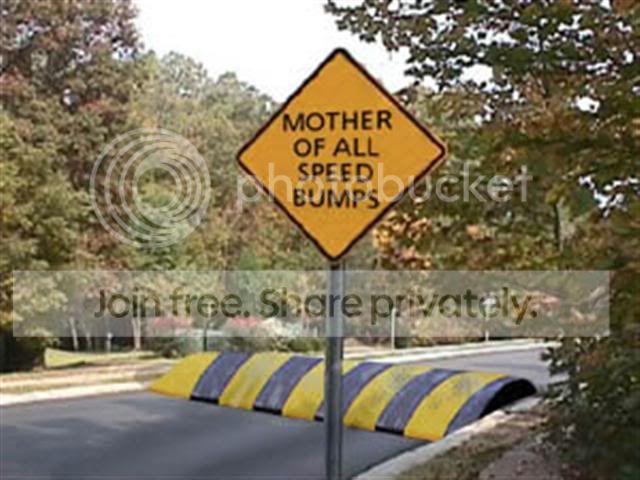 funny_pictures_S.jpg