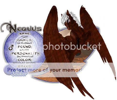 User Image