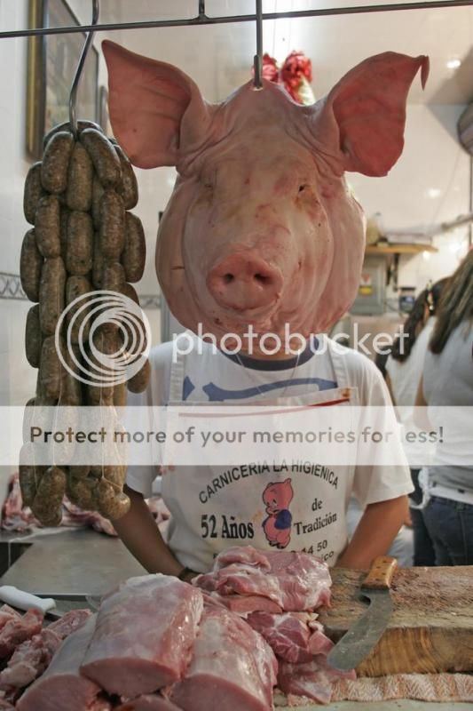 呢个至系佢除低面具的真身