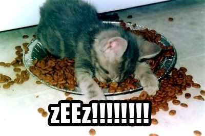 catmacro.jpg