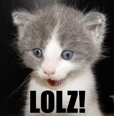 lolz20catti4.jpg