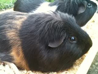 photo-9.jpg